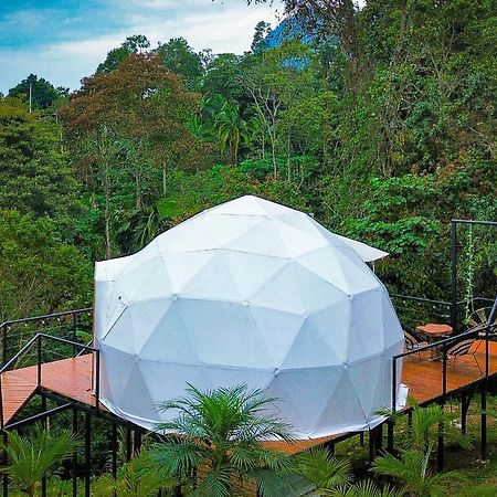 Вилла La Julita Glamping Ла-Меса Экстерьер фото